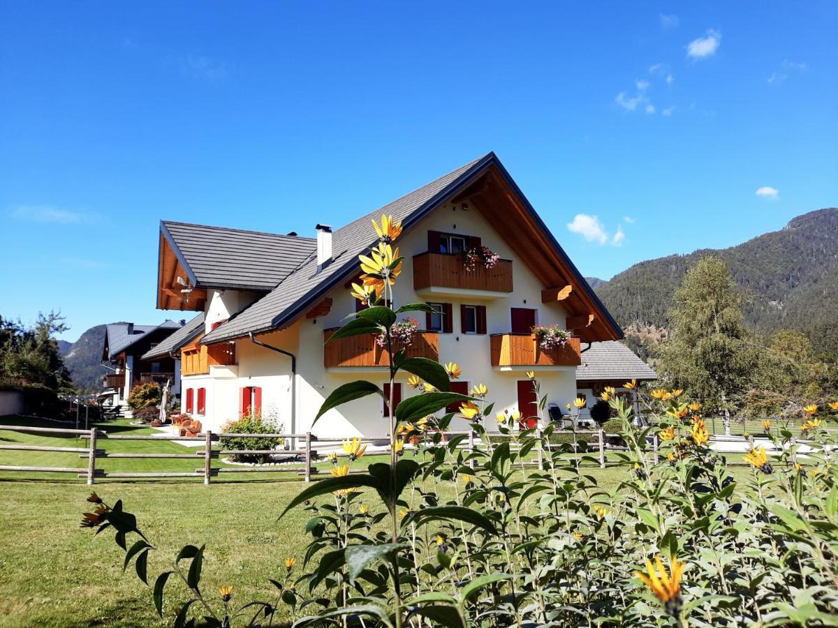 B&B Al Buondi Camporosso  Zewnętrze zdjęcie
