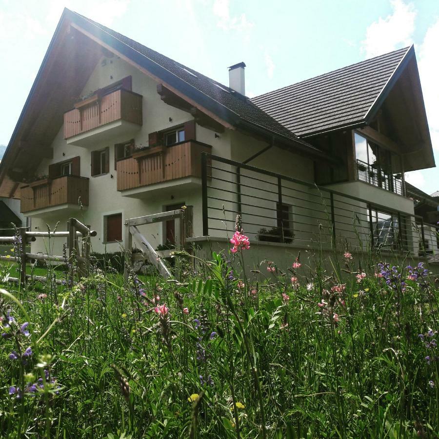 B&B Al Buondi Camporosso  Zewnętrze zdjęcie